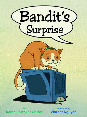 cover image of Bandit's Surprise